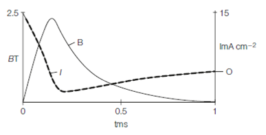 901_Transcranial magnetic stimulation (TMS).png